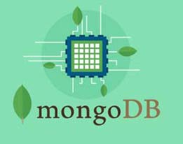 MongoDB Admin